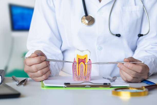 Best Weekend Emergency Dentist in Spring City, UT